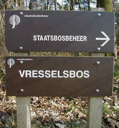 't Nagtegaeltje *