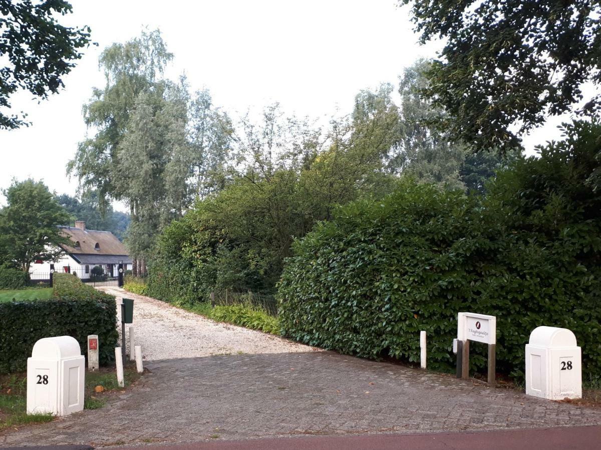 't Nagtegaeltje